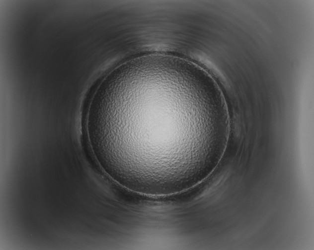 X0000089960486200706291232