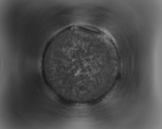 X0000089960487200706291232