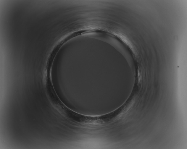 X0000089960488200706291232