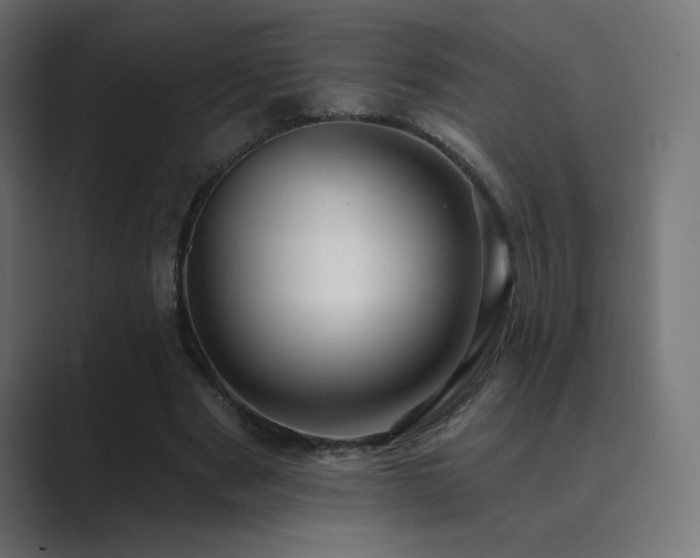 X0000089960489200706291232
