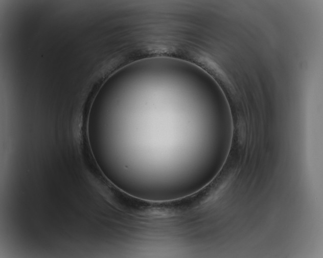 X0000089960490200706291232