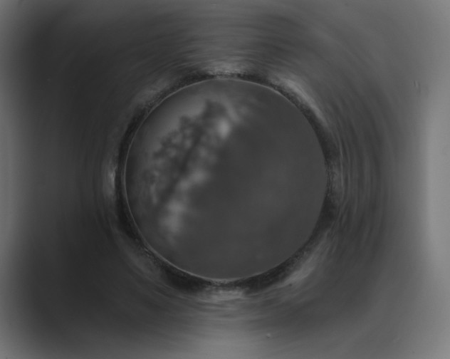 X0000089960491200706291232