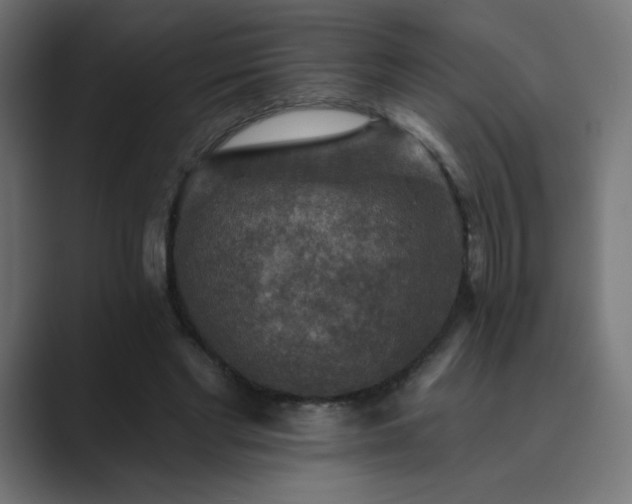 X0000089960493200706291232