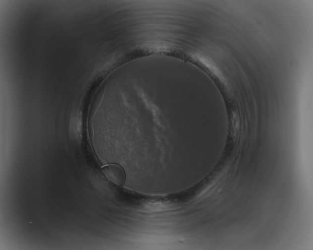 X0000089960494200706291232