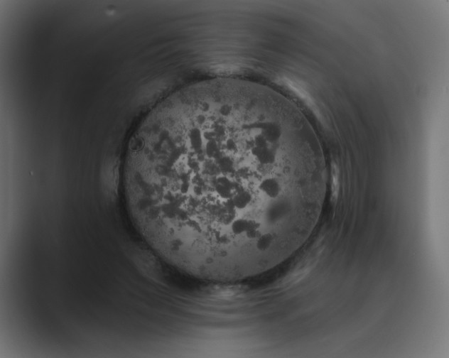 X0000089960495200706291232