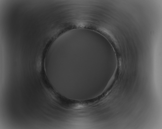 X0000089960496200706291232