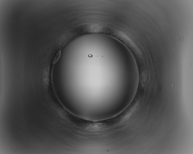 X0000089960497200706291232