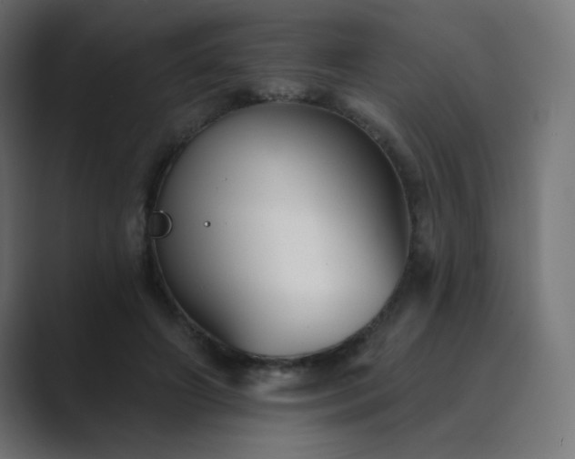 X0000089960498200706291232