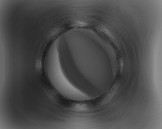 X0000089960500200706291232