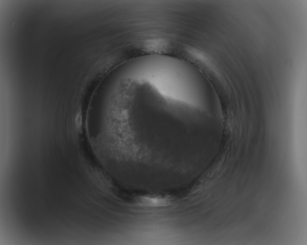 X0000089960502200706291232