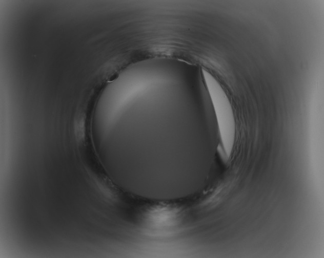 X0000089960504200706291232