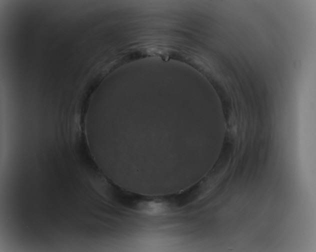 X0000089960506200706291232