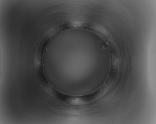 X0000089960507200706291232
