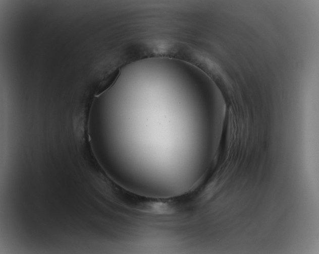 X0000089960509200706291232