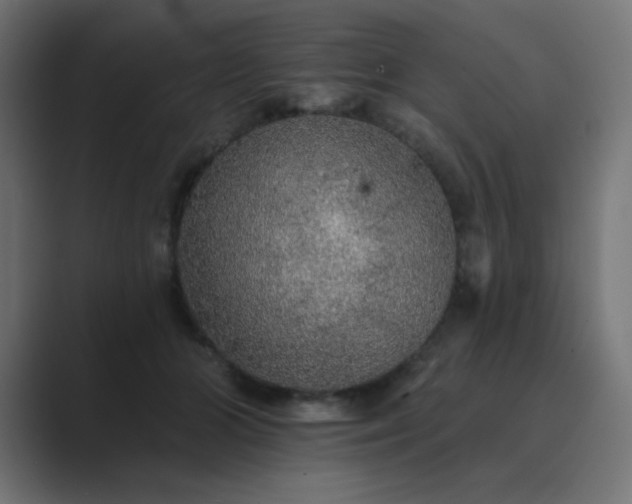 X0000089960510200706291232