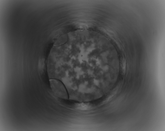 X0000089960511200706291232