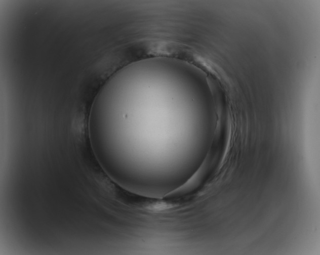 X0000089960513200706291232
