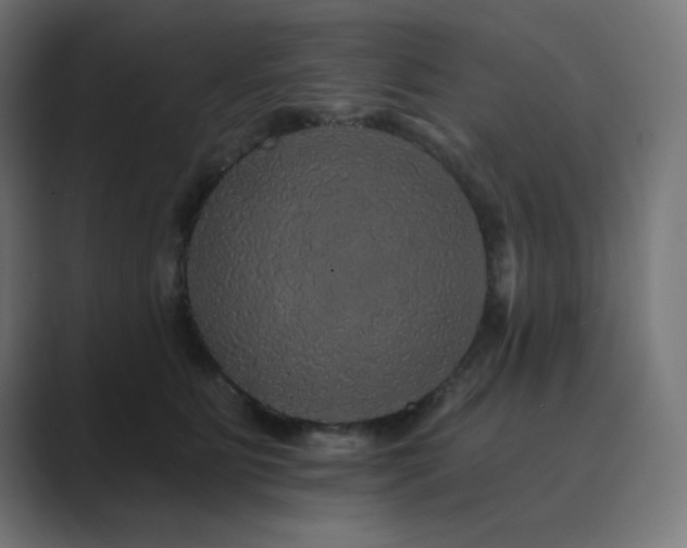 X0000089960515200706291232