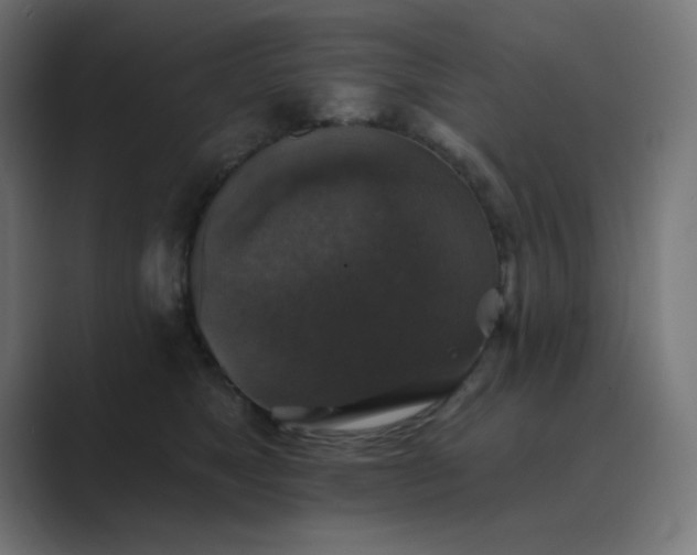 X0000089960517200706291232
