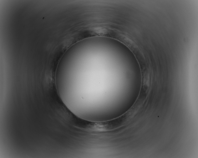 X0000089960518200706291232