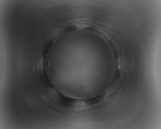 X0000089960519200706291232