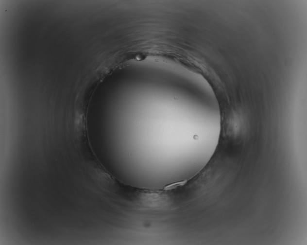 X0000089960521200706291231