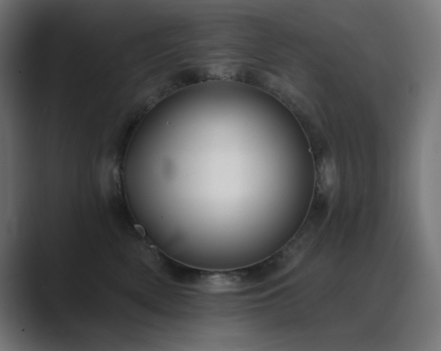 X0000089960522200706291231