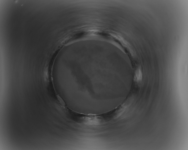X0000089960524200706291231