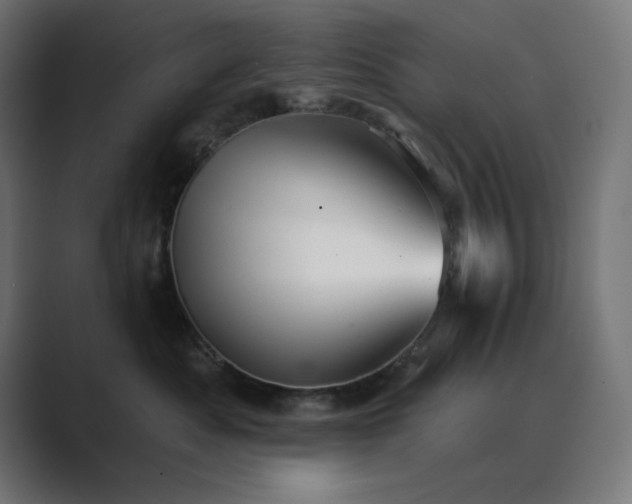 X0000089960525200706291231