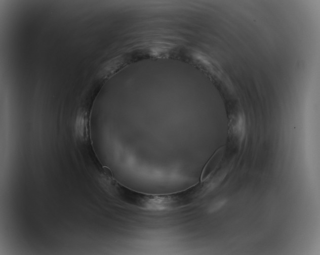 X0000089960527200706291231