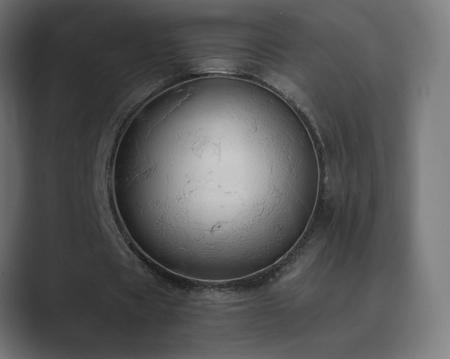 X0000089960529200706291231