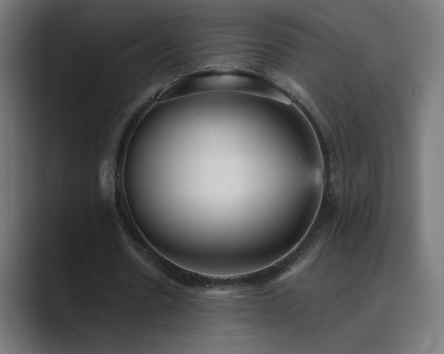 X0000089960530200706291231