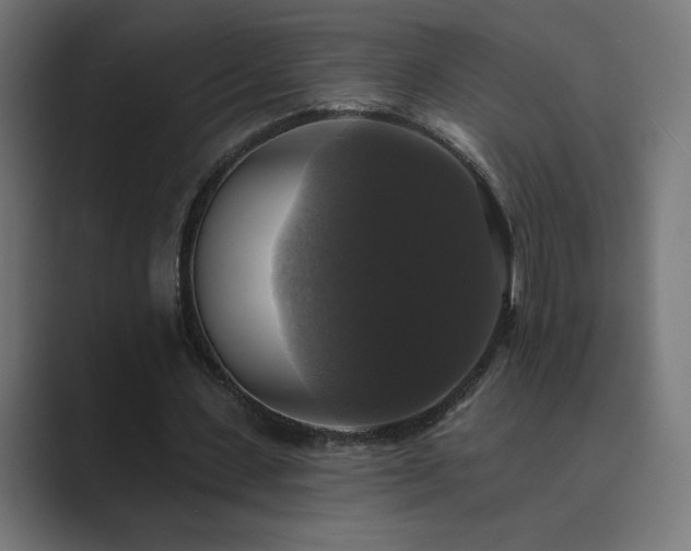 X0000089960531200706291231
