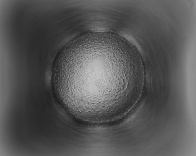 X0000089960533200706291231