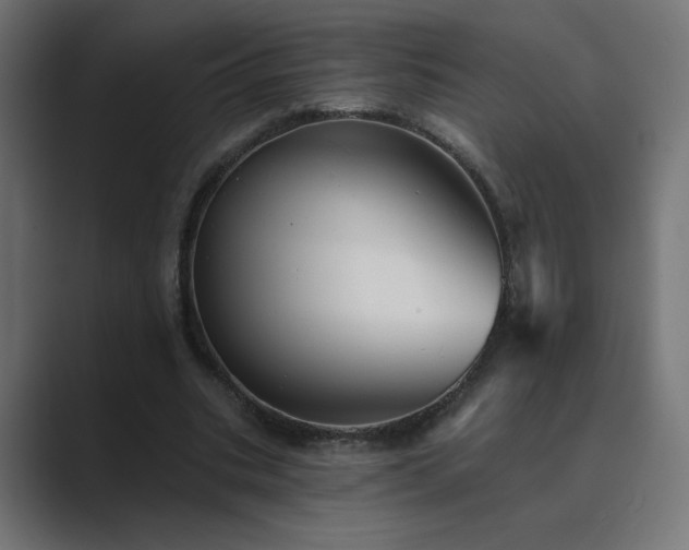 X0000089960535200706291231