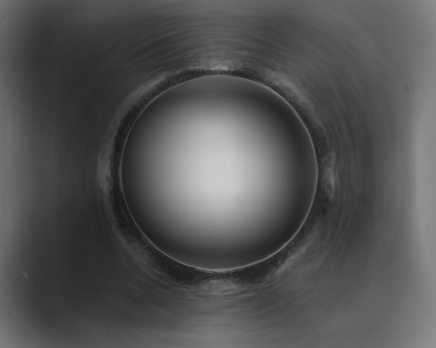 X0000089960536200706291231