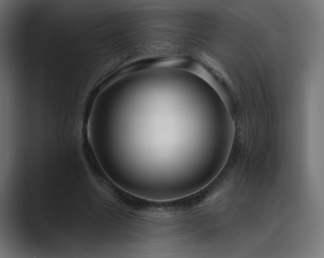 X0000089960538200706291231