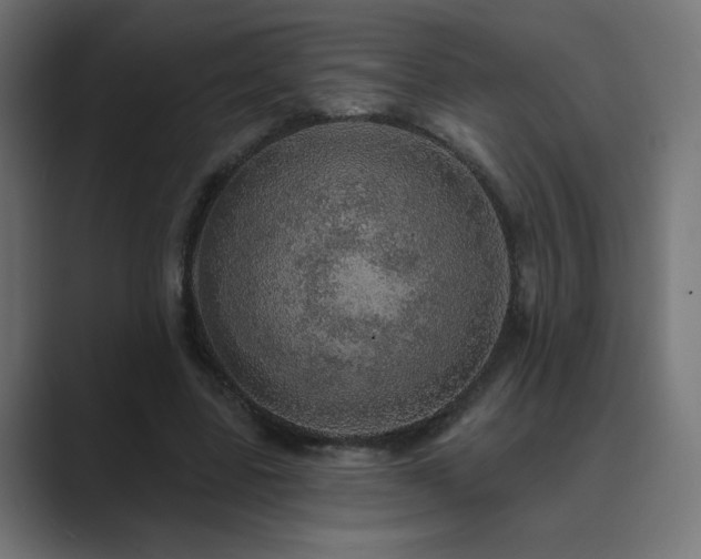 X0000089960539200706291231