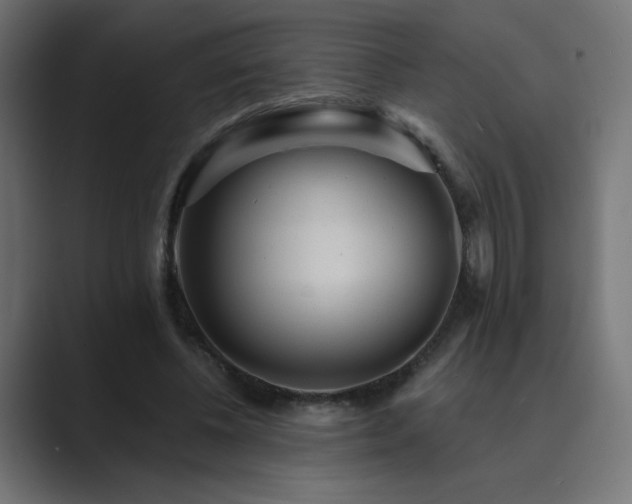 X0000089960540200706291231