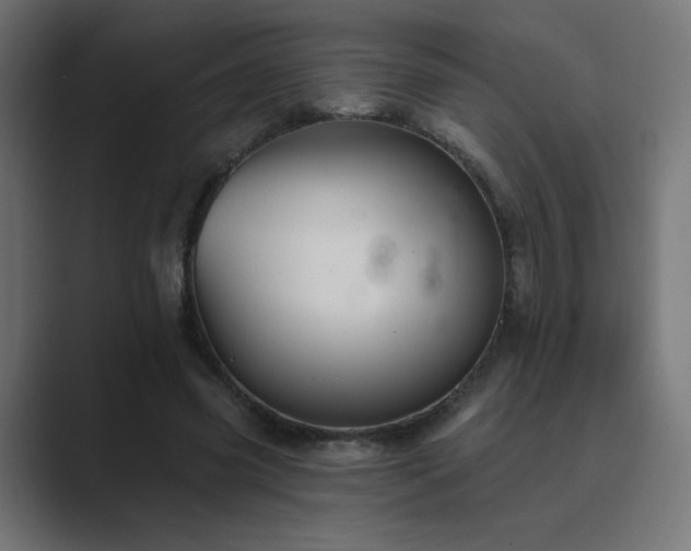 X0000089960541200706291231