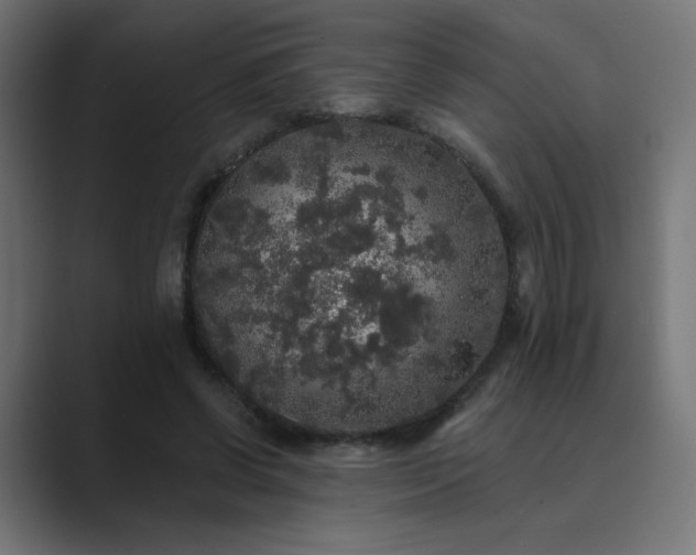 X0000089960542200706291231