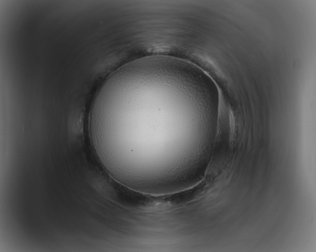 X0000089960543200706291231