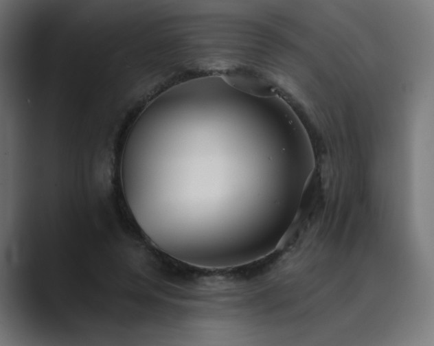 X0000089960544200706291231