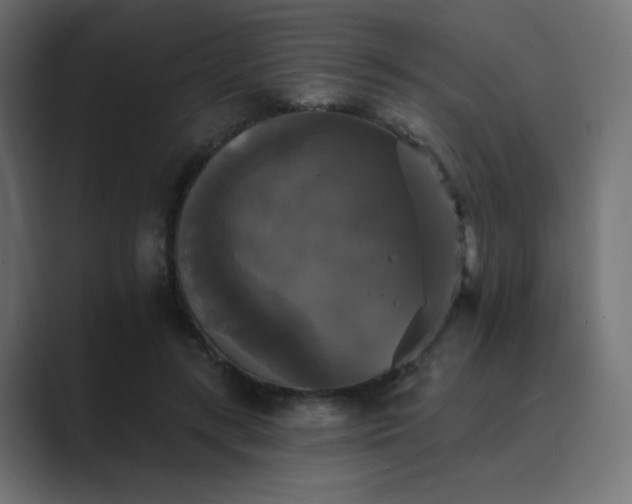 X0000089960547200706291231