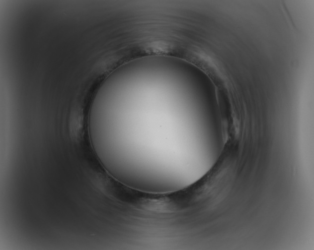 X0000089960548200706291231