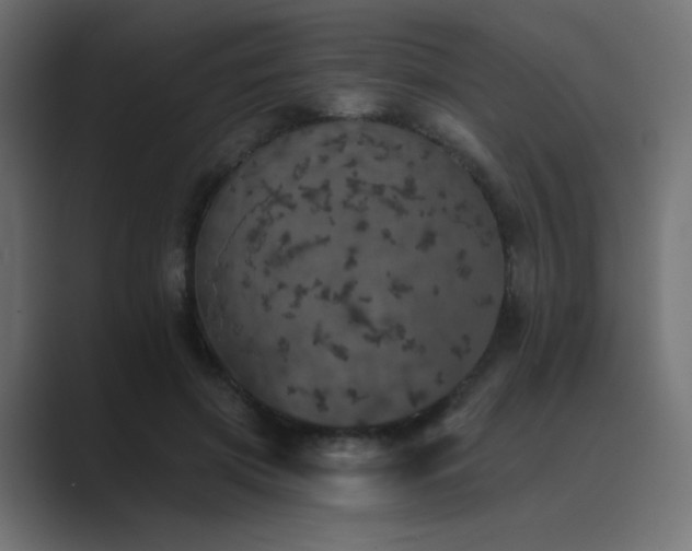 X0000089960549200706291231