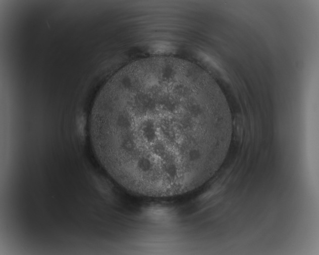 X0000089960550200706291231