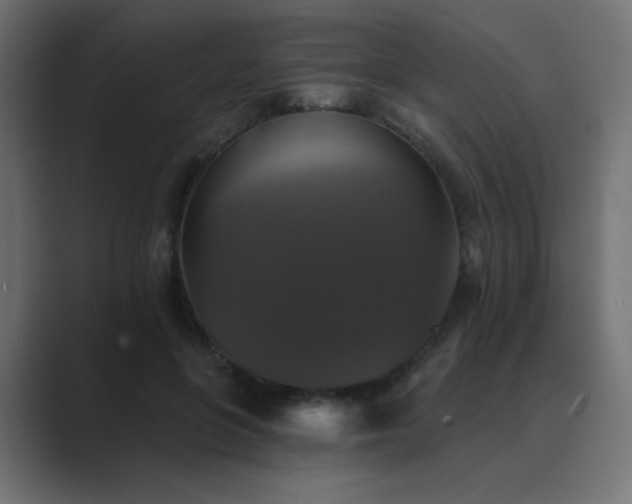 X0000089960551200706291231