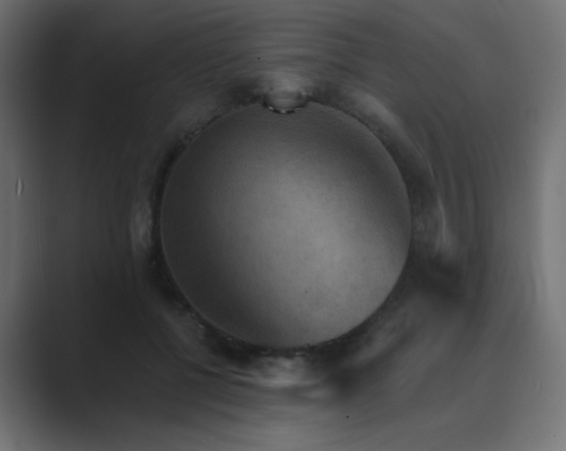 X0000089960552200706291231