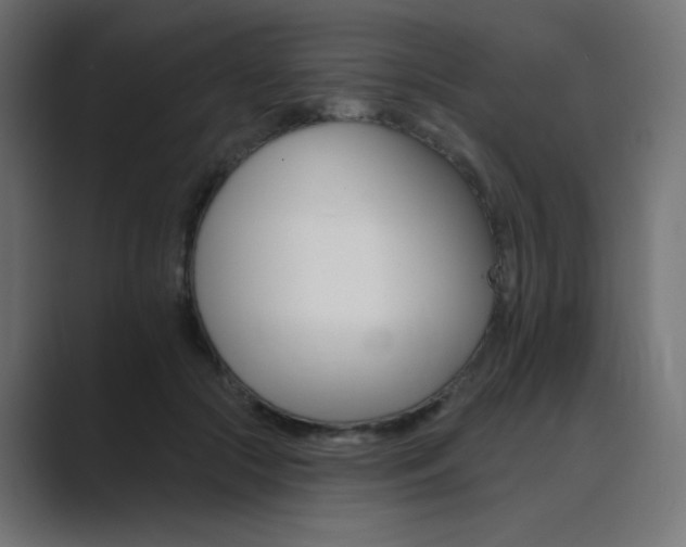 X0000089960553200706291231